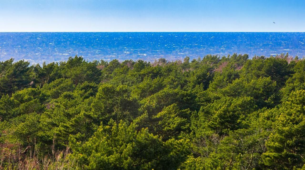 Palanga Sea View Apartment Bagian luar foto